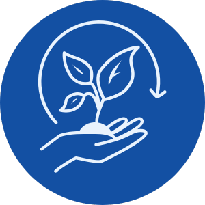 Sustainability Cleaning Company